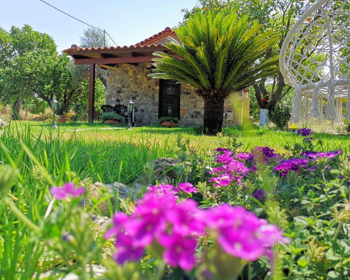فيلا Patras Stonehouse With Large Yard - Πέτρινο Σπίτι Με Αυλή Paralía المظهر الخارجي الصورة
